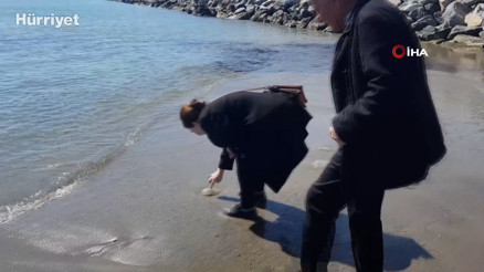 Turistin sahile vuran deniz analarını kurtarma çabası