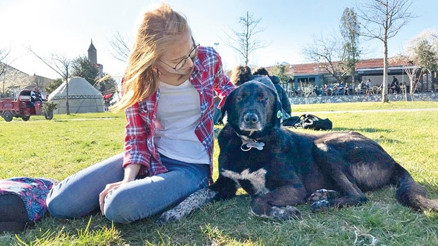 Kampüste köpek tartışması Kampüste köpek tartışması