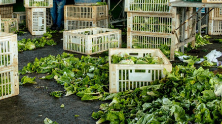Benimle mi çözülecek demeyin... Dünyadaki 800 milyon insan aç, yemekler ise çöpte