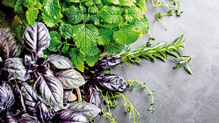 Aroma kazandırıyor, tazelik katıyor...