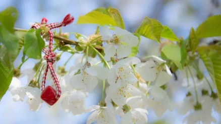 Marteniçka ne zaman çıkarılır, ayın kaçında çıkarılır Marteniçka ritüeli ve çıkarma tarihi