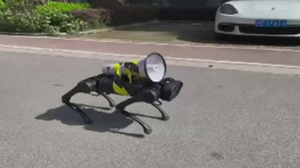 Şanghayda sokaklarda dolaşan robot köpek gündem oldu