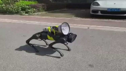 Şanghayda robot köpek gündem oldu