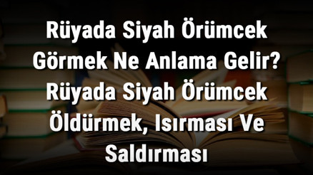 Rüyada Siyah Örümcek Görmek Ne Anlama Gelir Rüyada Siyah Örümcek Öldürmek, Isırması Ve Saldırması