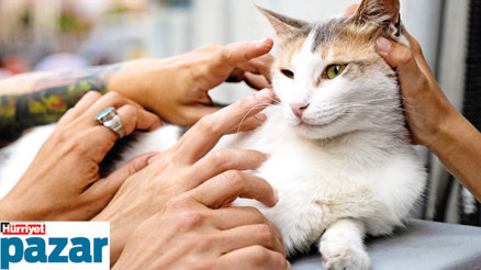 Sahiplenmek, onun hayatını kurtarmak demek