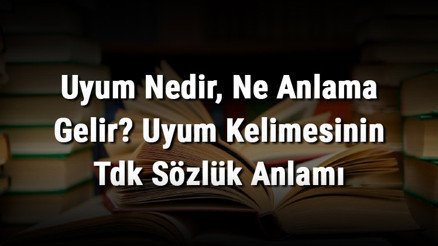 Uyum Nedir, Ne Anlama Gelir Uyum Kelimesinin Tdk Sözlük Anlamı