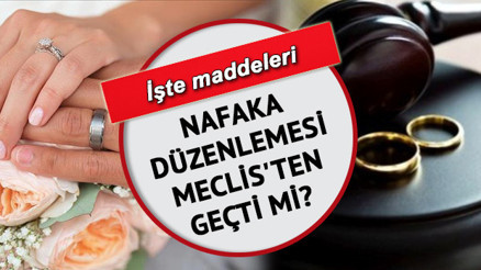 Nafaka düzenlemesi nedir, ne zaman çıkacak Nafaka düzenlemesi 2022 son durum
