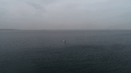 İstanbul Boğazında paniğe neden olmuştu Nefes kesen anlar... Böyle patlatıldı