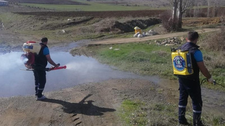 Sineksiz yaz için ilaçlama başladı
