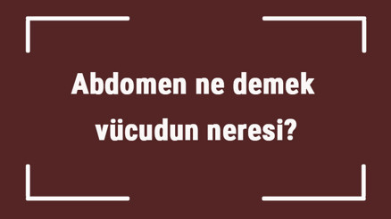 Abdomen ne demek, vücudun neresi Abdomen us üst neden çekilir Abdomen ne demek, vücudun neresi Abdomen us üst neden çekilir