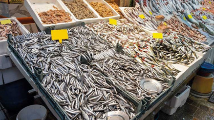 Yasak öncesi son balıklar tezgâhta