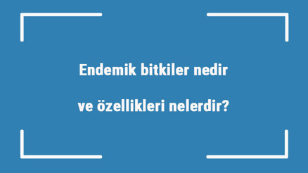 Endemik bitkiler nedir ve özellikleri nelerdir Endemik bitkiler neden önemli ve nasıl korunur