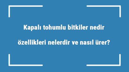 Kapalı tohumlu bitkiler nedir, özellikleri nelerdir ve nasıl ürer kapalı tohumlu bitki çeşitleri ve örnekleri