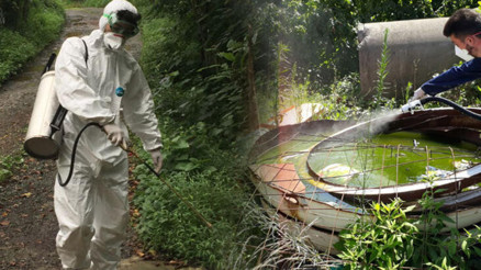 Zika virüsü nedir, nasıl bulaşır Zika virüsü nedir, nasıl bulaşır