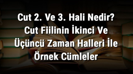 Cut 2. Ve 3. Hali Nedir Cut Fiilinin İkinci Ve Üçüncü Zaman Halleri İle Örnek Cümleler Cut 2. Ve 3. Hali Nedir Cut Fiilinin İkinci Ve Üçüncü Zaman Halleri İle Örnek Cümleler