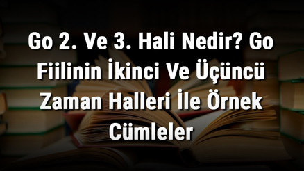 Go 2. Ve 3. Hali Nedir Go Fiilinin İkinci Ve Üçüncü Zaman Halleri İle Örnek Cümleler