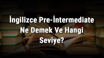 İngilizce Pre-İntermediate Ne Demek Ve Hangi Seviye