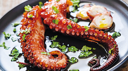 Mutfağınızda ahtapota yer açın