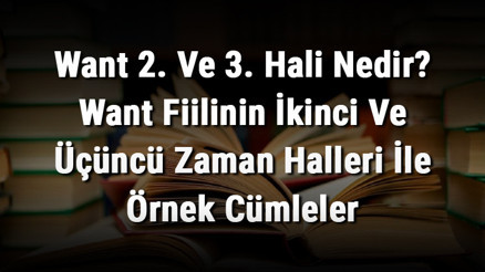 Want 2. Ve 3. Hali Nedir Want Fiilinin İkinci Ve Üçüncü Zaman Halleri İle Örnek Cümleler