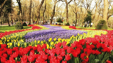 Baharın tadını parklarda çıkaralım...