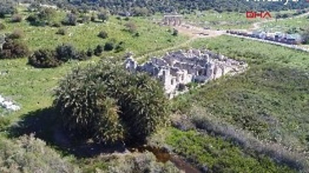 Prof. Dr. Fahri Işık: Leto Hurmalığı, Yunanistanda olsa hac yeri olurdu Prof. Dr. Fahri Işık: Leto Hurmalığı, Yunanistanda olsa hac yeri olurdu
