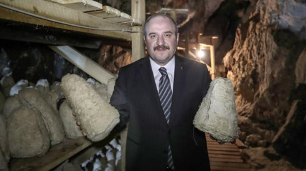 Bakan Varank Türk rokforunu inceledi