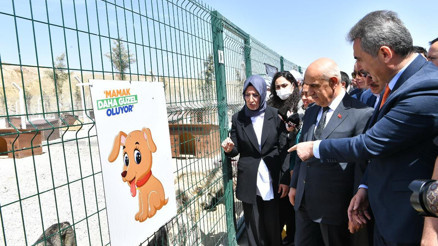 200 bin kısırlaştırma yetersiz bir rakam