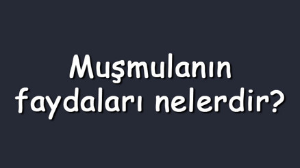 Muşmulanın faydaları nelerdir Neye iyi gelir Çekirdeğini yutmak zararlı mı Muşmulanın faydaları nelerdir Neye iyi gelir Çekirdeğini yutmak zararlı mı