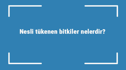 Nesli tükenen bitkiler nelerdir Nesli tükenen bitkilerin özellikleri