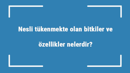 Nesli tükenmekte olan bitkiler ve özellikler nelerdir Türkiye ve dünyada nesli tükenme noktasına gelen bitkiler