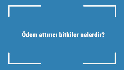 Ödem attırıcı bitkiler nelerdir Zayıflatan ve ödem attıran bitkiler ve özellikleri