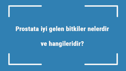Prostata iyi gelen bitkiler nelerdir ve hangileridir Prostata iyi gelen bitkiler nelerdir ve hangileridir