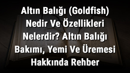Altın Balığı (Goldfish) Nedir Ve Özellikleri Nelerdir Altın Balığı Bakımı, Yemi Ve Üremesi Hakkında Rehber Altın Balığı (Goldfish) Nedir Ve Özellikleri Nelerdir Altın Balığı Bakımı, Yemi Ve Üremesi Hakkında Rehber