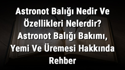 Astronot Balığı Nedir Ve Özellikleri Nelerdir Astronot Balığı Bakımı, Yemi Ve Üremesi Hakkında Rehber Astronot Balığı Nedir Ve Özellikleri Nelerdir Astronot Balığı Bakımı, Yemi Ve Üremesi Hakkında Rehber