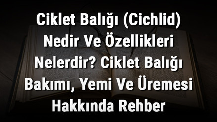 Ciklet Balığı (Cichlid) Nedir Ve Özellikleri Nelerdir Ciklet Balığı Bakımı, Yemi Ve Üremesi Hakkında Rehber