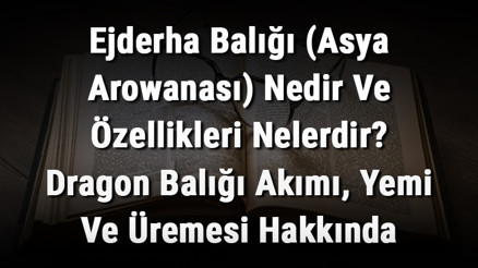 Ejderha Balığı (Asya Arowanası) Nedir Ve Özellikleri Nelerdir Dragon Balığı Akımı, Yemi Ve Üremesi Hakkında Rehber