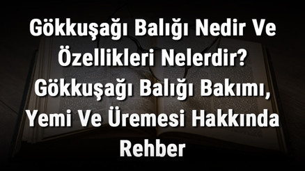 Gökkuşağı Balığı Nedir Ve Özellikleri Nelerdir Gökkuşağı Balığı Bakımı, Yemi Ve Üremesi Hakkında Rehber