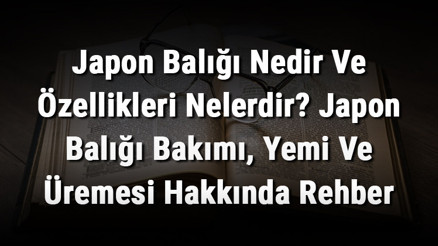Japon Balığı Nedir Ve Özellikleri Nelerdir Japon Balığı Bakımı, Yemi Ve Üremesi Hakkında Rehber