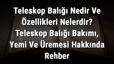 Teleskop Balığı Nedir Ve Özellikleri Nelerdir Teleskop Balığı Bakımı, Yemi Ve Üremesi Hakkında Rehber Teleskop Balığı Nedir Ve Özellikleri Nelerdir Teleskop Balığı Bakımı, Yemi Ve Üremesi Hakkında Rehber