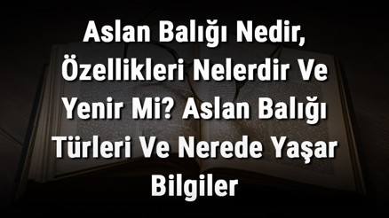 Aslan Balığı Nedir, Özellikleri Nelerdir Ve Yenir Mi Aslan Balığı Türleri Ve Nerede Yaşar Bilgiler Aslan Balığı Nedir, Özellikleri Nelerdir Ve Yenir Mi Aslan Balığı Türleri Ve Nerede Yaşar Bilgiler