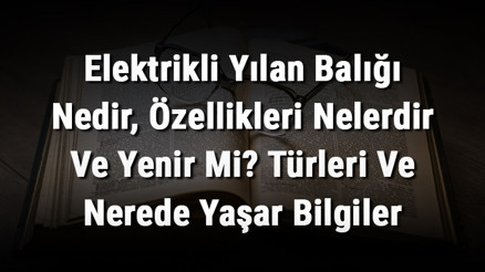 Elektrikli Yılan Balığı Nedir, Özellikleri Nelerdir Ve Yenir Mi Türleri Ve Nerede Yaşar Bilgiler