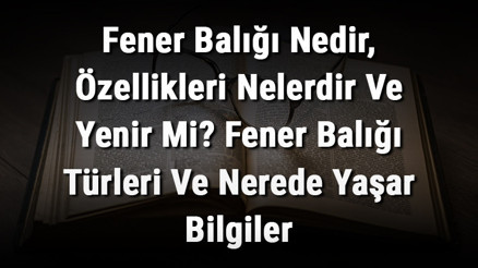 Fener Balığı Nedir, Özellikleri Nelerdir Ve Yenir Mi Fener Balığı Türleri Ve Nerede Yaşar Bilgiler