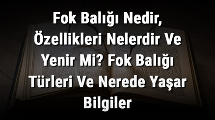 Fok Balığı Nedir, Özellikleri Nelerdir Ve Yenir Mi Fok Balığı Türleri Ve Nerede Yaşar Bilgiler Fok Balığı Nedir, Özellikleri Nelerdir Ve Yenir Mi Fok Balığı Türleri Ve Nerede Yaşar Bilgiler