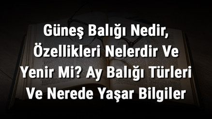Güneş Balığı Nedir, Özellikleri Nelerdir Ve Yenir Mi Ay Balığı Türleri Ve Nerede Yaşar Bilgiler Güneş Balığı Nedir, Özellikleri Nelerdir Ve Yenir Mi Ay Balığı Türleri Ve Nerede Yaşar Bilgiler
