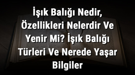 İşık Balığı Nedir, Özellikleri Nelerdir Ve Yenir Mi İşık Balığı Türleri Ve Nerede Yaşar Bilgiler