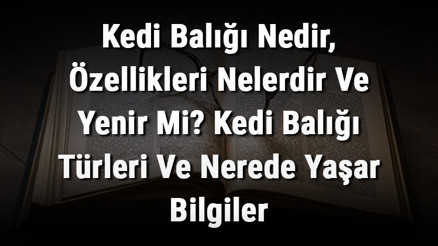 Kedi Balığı Nedir, Özellikleri Nelerdir Ve Yenir Mi Kedi Balığı Türleri Ve Nerede Yaşar Bilgiler