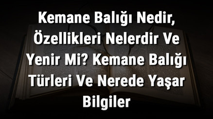 Kemane Balığı Nedir, Özellikleri Nelerdir Ve Yenir Mi Kemane Balığı Türleri Ve Nerede Yaşar Bilgiler