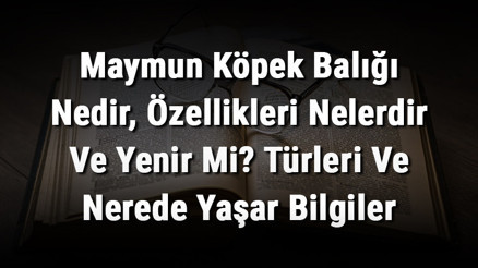 Maymun Köpek Balığı Nedir, Özellikleri Nelerdir Ve Yenir Mi Türleri Ve Nerede Yaşar Bilgiler