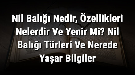 Nil Balığı Nedir, Özellikleri Nelerdir Ve Yenir Mi Nil Balığı Türleri Ve Nerede Yaşar Bilgiler