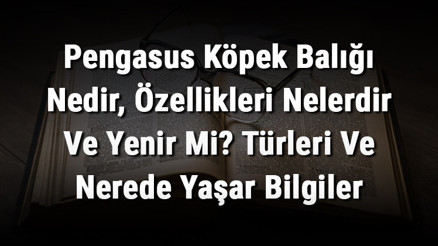 Pengasus Köpek Balığı Nedir, Özellikleri Nelerdir Ve Yenir Mi Türleri Ve Nerede Yaşar Bilgiler